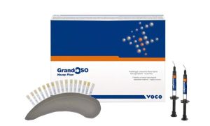 GrandioSO Heavy Flow Spritzen B1 (Voco)